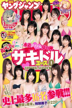 铁血丹心演员表大全